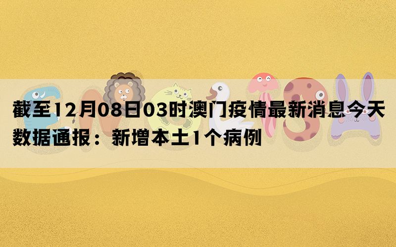 澳门疫情最新更新，最新动态与消息汇总