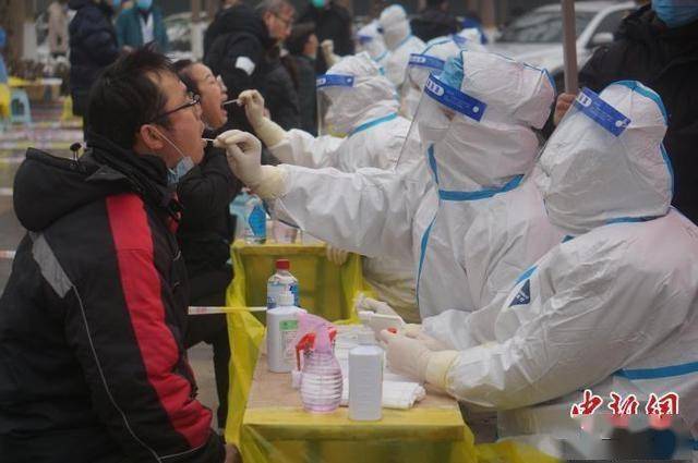 河南疫情最新情况更新，最新动态与数据报告
