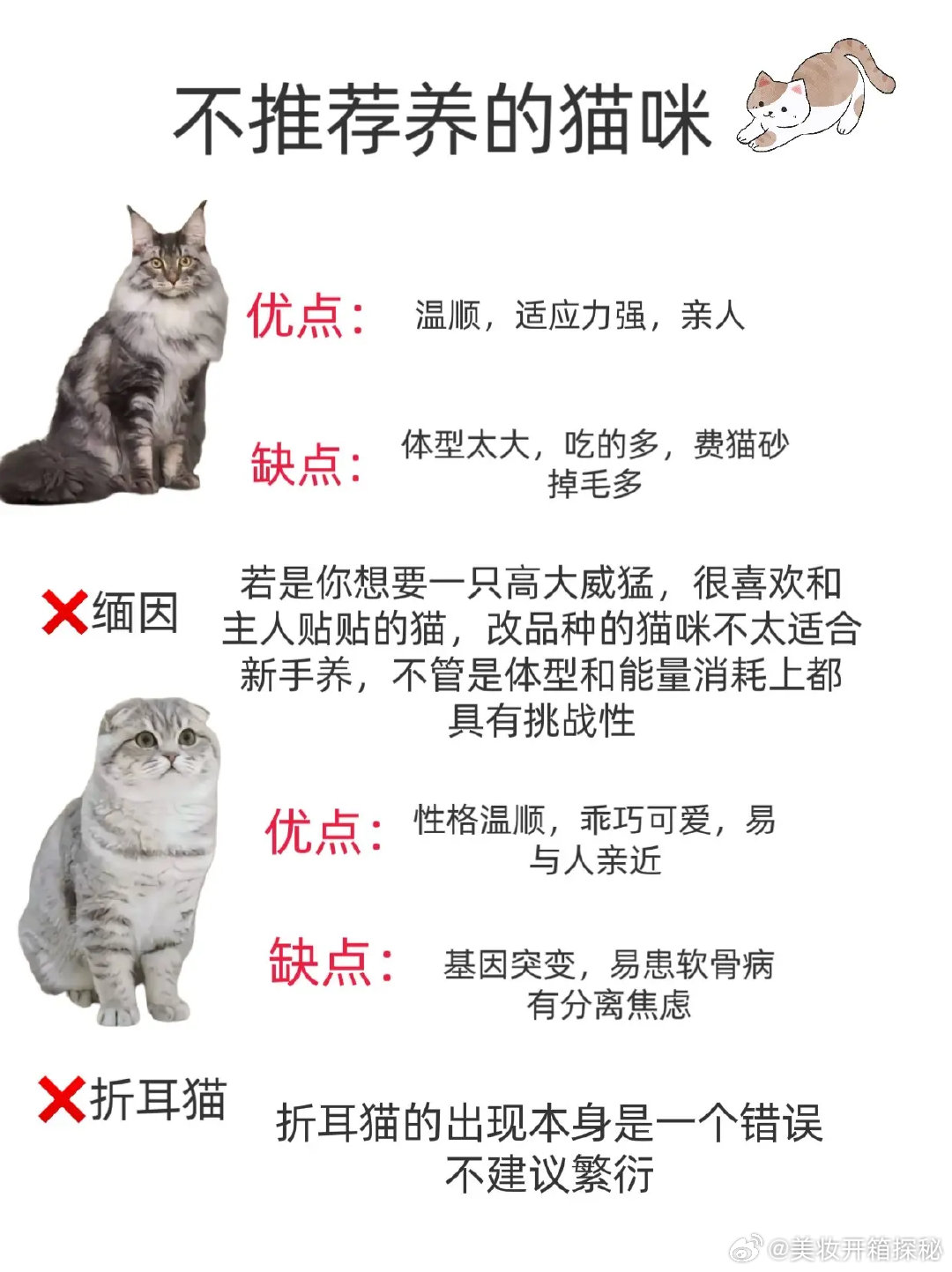 最新猫咪网使用指南，从新手入门到进阶探索