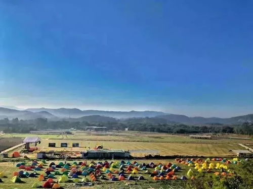 惠安最新招聘，启程探索自然美景，寻找内心平和之旅